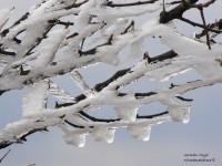 /album/fotogaleria/aliento-de-escarcha-derechos-reservados-jpg1/